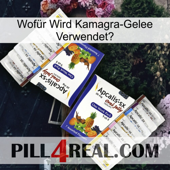 Wofür Wird Kamagra-Gelee Verwendet 12.jpg